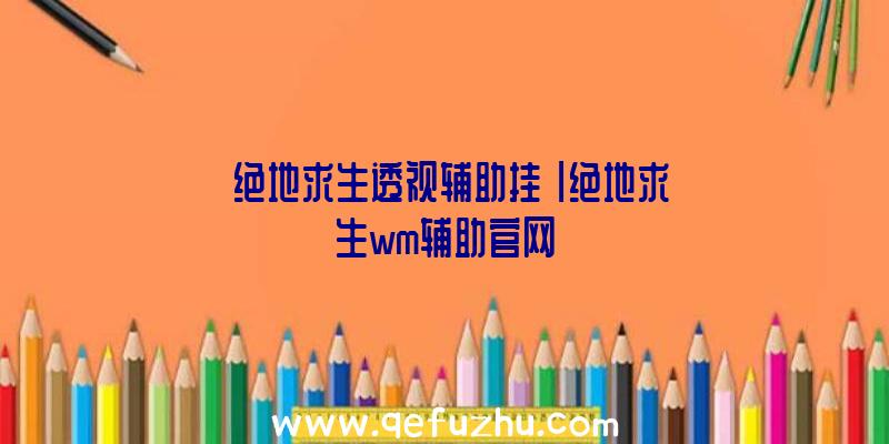 「绝地求生透视辅助挂」|绝地求生wm辅助官网